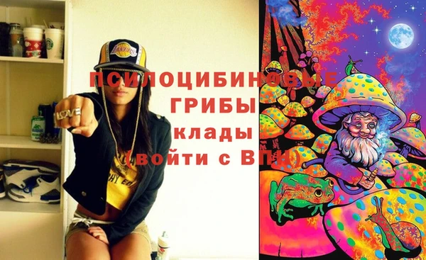 Альфа ПВП Волоколамск