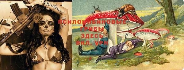 Альфа ПВП Волоколамск