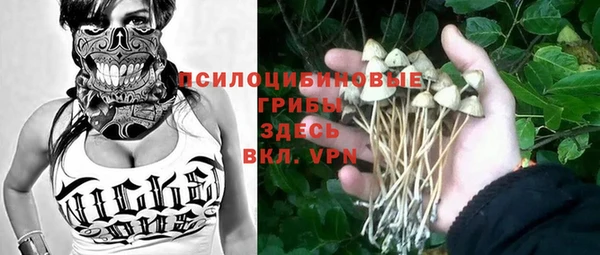 a pvp Вязники